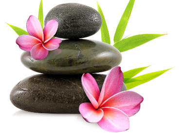 Reiki, Shiatsu, tarifs